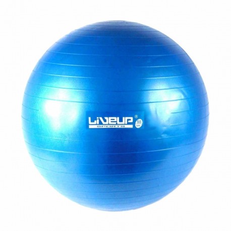 BOLA SUIÇA PREMIUM 65 AZUL