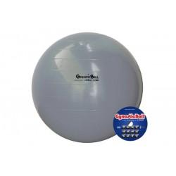 Bola suíça para exercícios 65 cm cinza Gynastic Ball