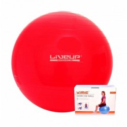 BOLA SUIÇA PREMIUM - 45CM - VERMELHA PARA PCD 