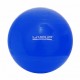 BOLA SUIÇA S - 65CM - AZUL PARA PCD 