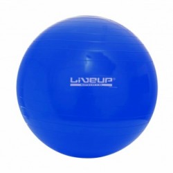 BOLA SUIÇA S - 65CM - AZUL PARA PCD 