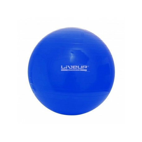 BOLA SUIÇA S - 65CM - AZUL PARA PCD 