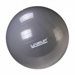 BOLA SUIÇA S - 85CM - CINZA PARA PCD 