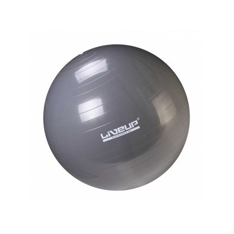 BOLA SUIÇA S - 85CM - CINZA PARA PCD 